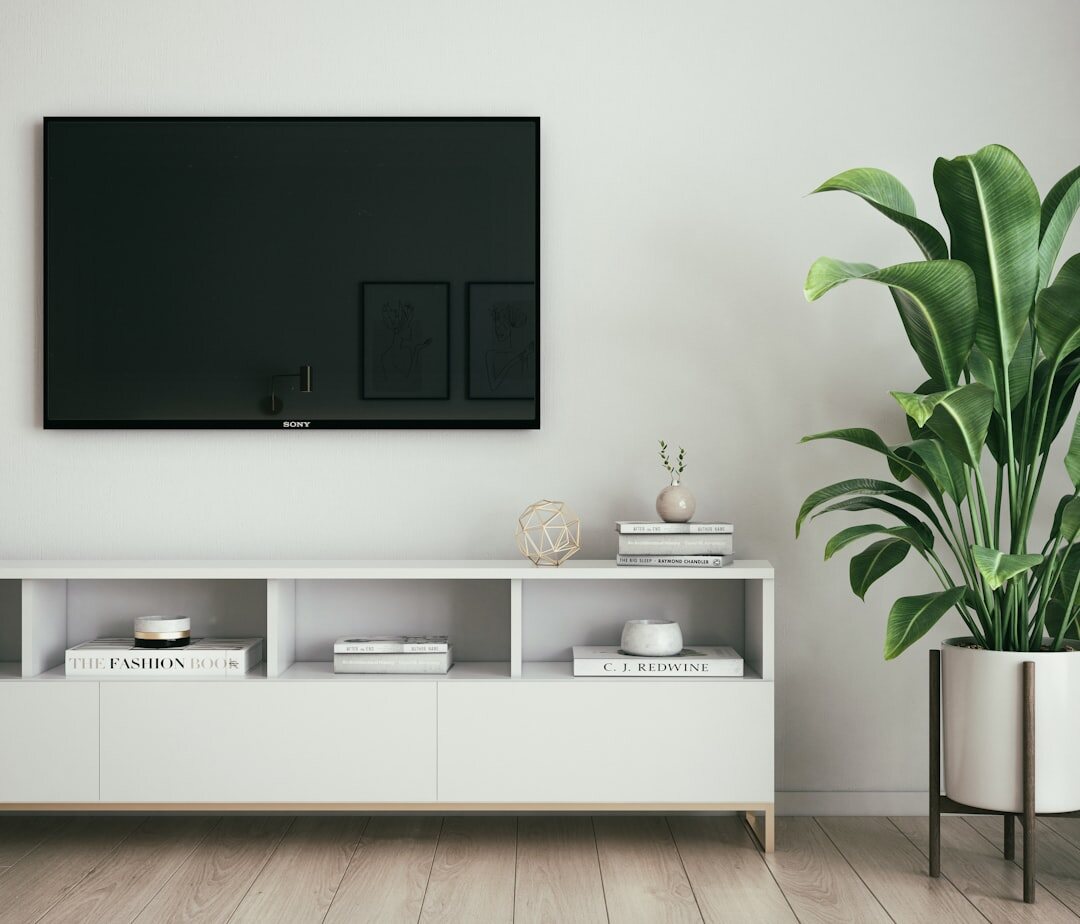 modern flat screen television